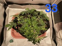 IMG_2072.jpeg