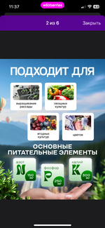 IMG_2402.png