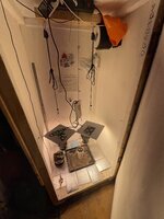 IMG_2409.jpeg