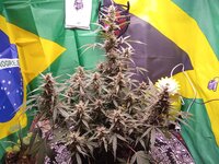 IMG_20260114_043112.jpg