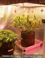 20260115_172952.jpg