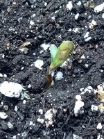 IMG_20260116_165554.jpg