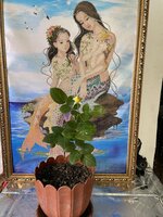 IMG_2495.jpeg