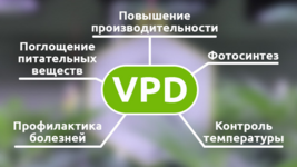1768817699736.png