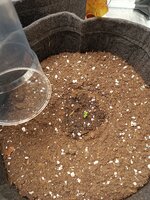 IMG_20251229_104519.jpg