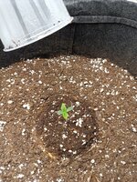 IMG_20260101_101014.jpg