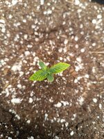 IMG_20260104_130859.jpg