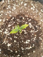 IMG_20260105_173638.jpg