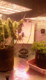 20260122_121704.jpg