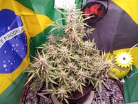 IMG_20260122_095353.jpg
