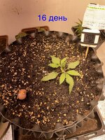 IMG_2679.jpeg
