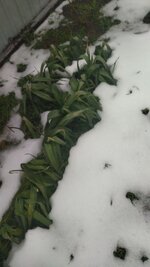 IMG_20260123_122629.jpg