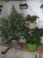 20260124_072551.jpg