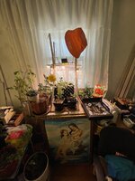 IMG_2724.jpeg