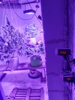 20260125_063218.jpg