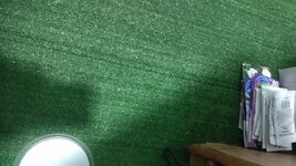 IMG_20260125_201701.jpg