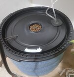 20260129_062639.jpg