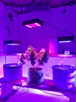 20260129_063957.jpg