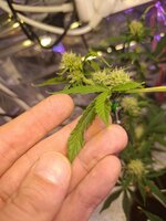 photo_4_2026-01-30_09-15-30.jpg