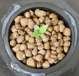 20250613_211020.jpg