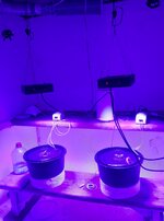 20260131_065451.jpg