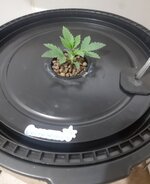 20260201_060416.jpg