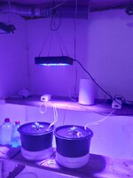 20260201_060346.jpg
