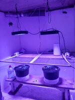 20260202_062449.jpg
