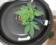20260202_064741.jpg