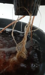 20260202_070429.jpg