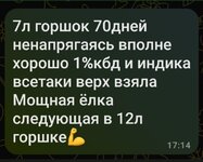 Screenshot_20260202_180528_MAX.jpg