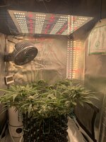 IMG_9754.jpeg