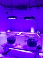 20260203_052929.jpg