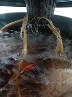 20260203_055647.jpg