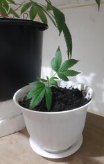 20260204_052421.jpg