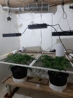 20260204_060044.jpg