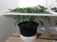 20260204_062248.jpg