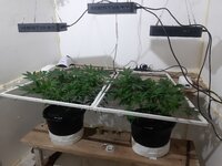 20260205_063217.jpg