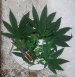 20260205_063731.jpg