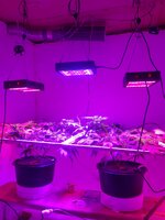 20260205_063705.jpg