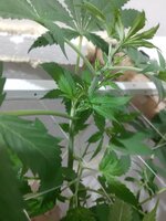 20260205_065803.jpg