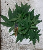 20260206_064048.jpg