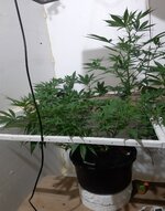 20260206_073503.jpg
