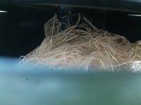 20260207_063718.jpg