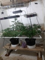 20260207_063805.jpg