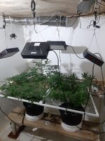 20260207_065804.jpg