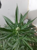20260207_070409.jpg