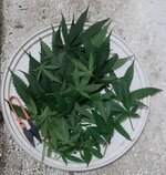 20260207_073357.jpg