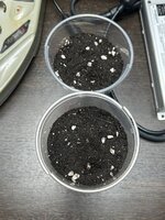 07.02.2026.jpg