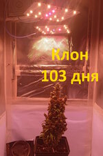 103 дн.jpg